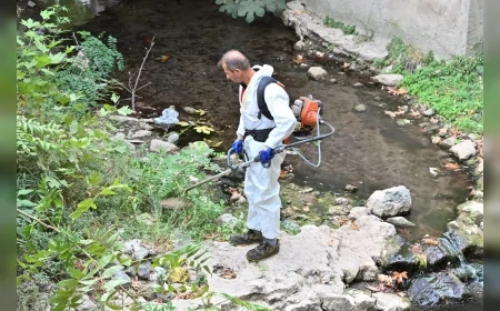 Manisa Büyükşehir Belediye Başkanı Besim Dutlulu: “17 ilçemizdeki tüm dere yataklarında temizlik ve bakım çalışmalarımızı sürdüreceğiz”