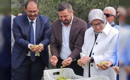 AK Parti Balıkesir İl Başkanı Mehmet Aydemir: “Üreticimize 338,6 milyon TL’lik yatırım gücü”