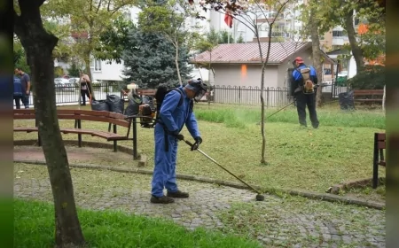 Giresun Belediyesi kent genelindeki yeşil alanlarda bakım ve budama çalışmalarını sürdürüyor