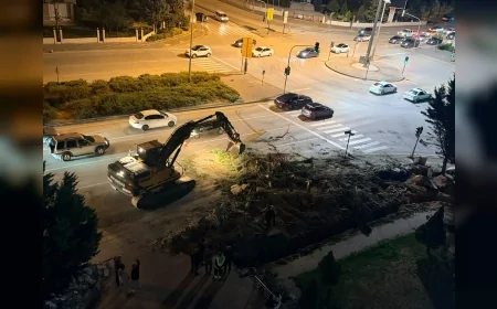 Etimesgut Ahi Mesut Bulvarı’nda yol çalışması sürerken 11 çam ağacı daha kesildi
