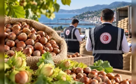 Ticaret Bakanlığı Ordu ve Giresun’daki fındık piyasası için müfettiş görevlendirdi