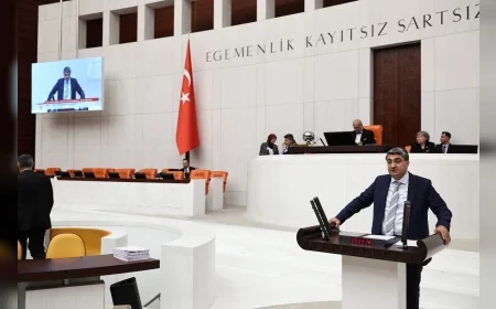 DEVA Partisi Genel Başkan Yardımcısı Mehmet Emin Ekmen: “Narenciyede hasat başlamadan önlem alınmalı”