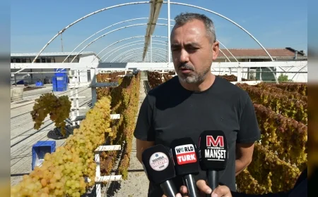 Manisa Bağcılık Araştırma Enstitüsü Bölüm Başkanı Dr. Ali Güler: “Tel ve yer sergisinin kendine özgü avantajları var”