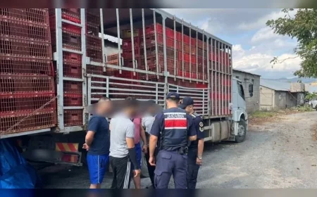İçişleri Bakanlığı: “81 ildeki denetimlerde 19 organizatör ile 230 düzensiz göçmen yakalandı”