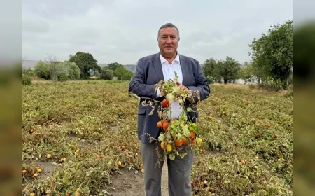CHP Niğde Milletvekili Ömer Fethi Gürer: “Domates çiftçisinin bir yıllık emeği boşa gitmemeli”