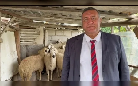 CHP Niğde Milletvekili Ömer Fethi Gürer: “Hayvan ithalatında 2027 için de kapı açık tutuluyor”