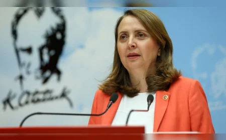 CHP Genel Başkan Yardımcısı Semra Dinçer: “İngiltere’de yeni dönem yol haritamızı değerlendirdik”