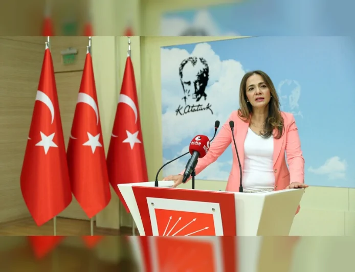 CHP Genel Başkan Yardımcısı Dr. Gamze Akkuş İlgezdi: “Mevcut kamusal altyapının kâr garantisi düzenine teslim edilmesi kabul edilemez”