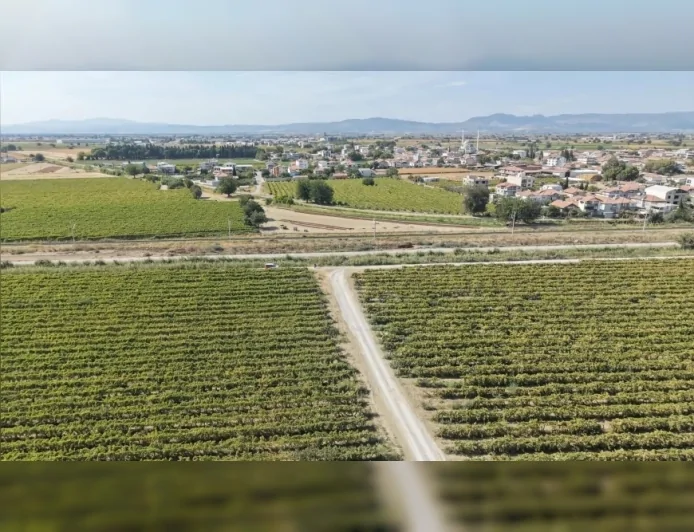 Şehzadeler Belediyesi Karaağaçlı Mahallesi’nde Ova Yollarını Düzenledi, Sokakları Kilit Parkeyle Yeniledi