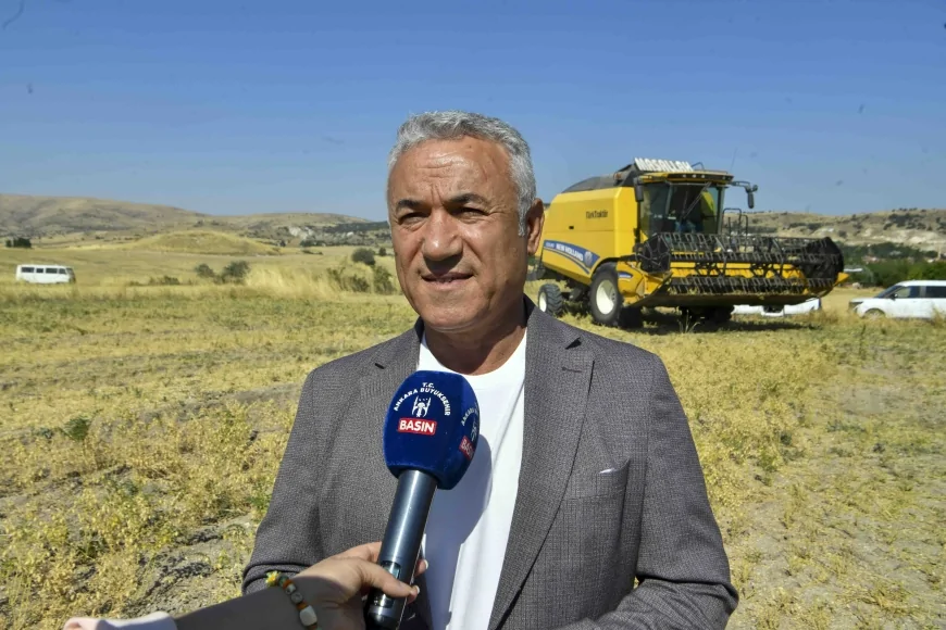 ABB’nin yüzde 50 hibeli sertifikalı nohut tohumu desteği sonrası Ankara’da hasat başladı