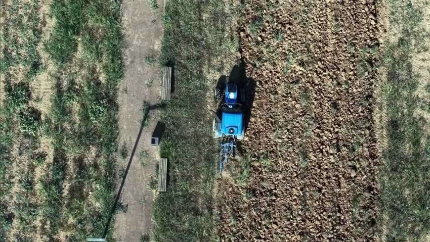 Yalova Belediyesi Kent Bostanı projesiyle 120 vatandaşa üretim alanı sunacak