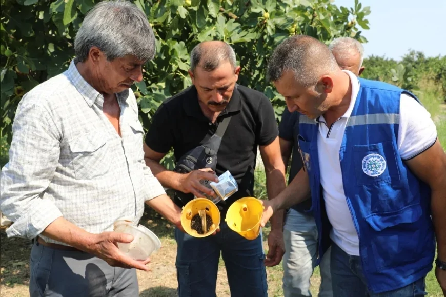 Muğla Büyükşehir Belediye Başkanı Ahmet Aras: “Üreticimizin emeğini ve toprağımızı korumaya devam edeceğiz”