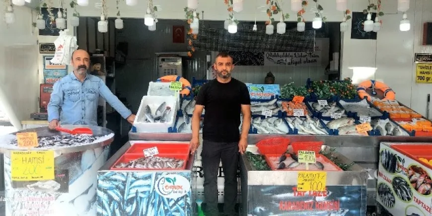 Çorum’da balık sezonu açıldı, tezgahlar istavrit, hamsi ve palamutla doldu