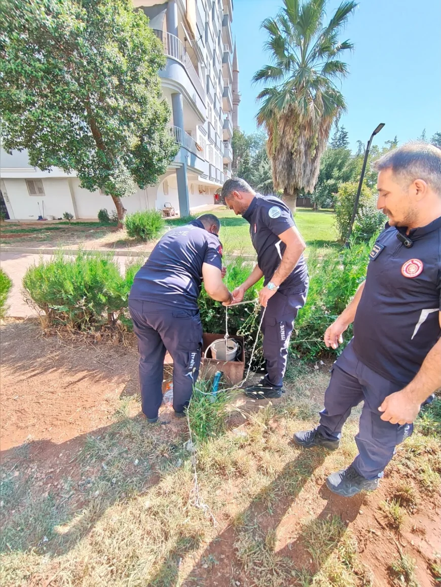 Adıyaman’da kuyuya düşen yavru kedi itfaiye ekiplerinin titiz operasyonuyla kurtarıldı