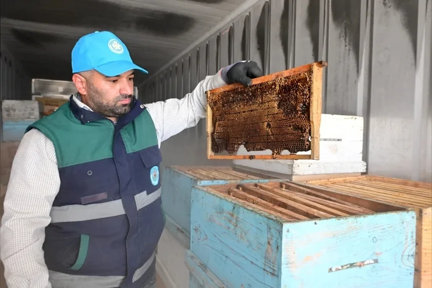 Manisa Büyükşehir Belediye Başkanı Besim Dutlulu: “Petekler Eksi 30 Derecede 48 Saat Şoklanarak Korunuyor”
