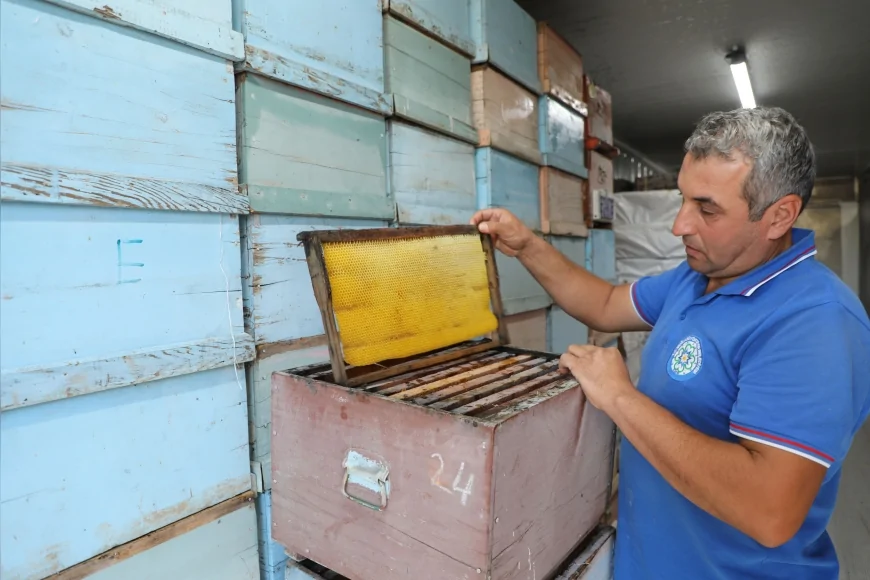 Muğla Büyükşehir Belediye Başkanı Ahmet Aras: “Arıcımızın emeğini ve üretimini koruyoruz”