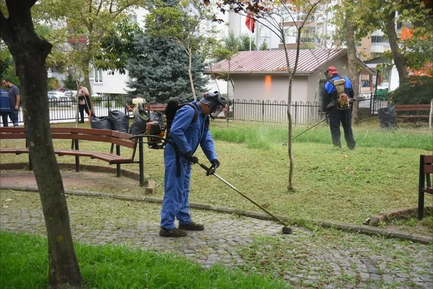 Giresun Belediyesi kent genelindeki yeşil alanlarda bakım ve budama çalışmalarını sürdürüyor