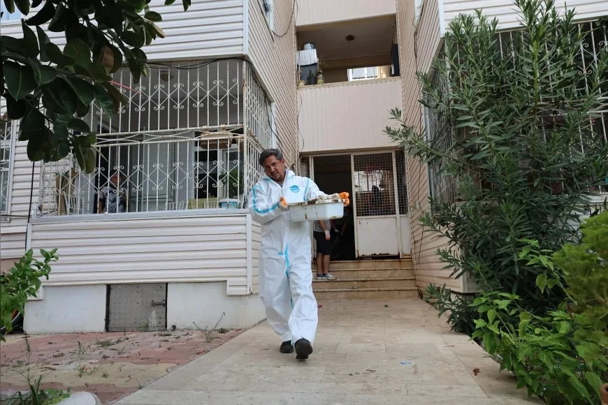 Marmaris Siteler Mahallesi’nde çöp eve belediye müdahalesi: Bir kamyon atık çıkarıldı