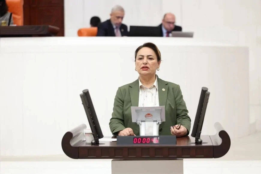CHP Adana Milletvekili Dr. Müzeyyen Şevkin: “Bakım emeği görülmeli, destek hak temelli olmalı”