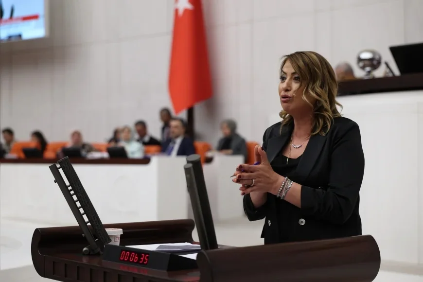CHP Hatay Milletvekili Nermin Yıldırım Kara: “İskenderun’da av sezonu bir hafta bile sürmedi”