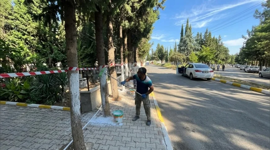 Adıyaman Belediye Başkanı Abdurrahman Tutdere: “Mezarlıklarımızın bakımını titizlikle sürdürüyoruz”