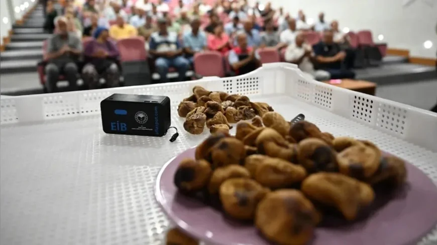 Selçuk’ta aflatoksinle mücadele kapsamında 100 üreticiye 500 incir kereveti desteği sağlandı