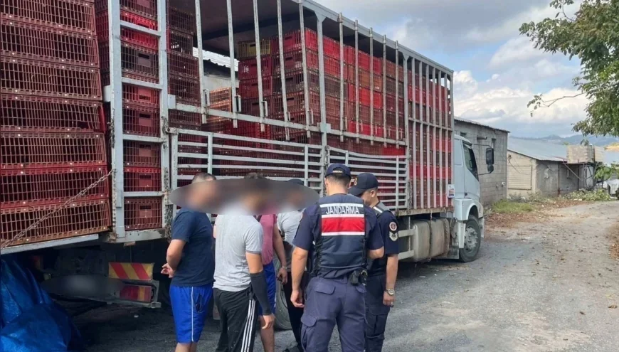 İçişleri Bakanlığı: “81 ildeki denetimlerde 19 organizatör ile 230 düzensiz göçmen yakalandı”