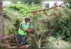 Aydın Büyükşehir Belediyesi İncirliova’da park ve yeşil alanlarda bakım çalışmalarını sürdürüyor