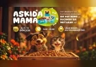 Yalova’da patili dostlar için “Askıda Mama” dayanışması 4 Ekim’de başlıyor