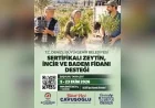 Denizli Büyükşehir Belediyesi’nden çiftçilere zeytin, incir ve badem fidanı desteği için başvurular başladı