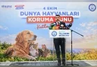 Yıldırım Belediye Başkanı Oktay Yılmaz: “Sokak hayvanlarının sağlıklı ve güvenli yaşamı için çalışıyoruz”
