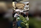 Sincan Belediye Başkanı Murat Ercan Semt Pazarında Tezgâhın Başına Geçerek Satış Yaptı