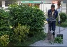 Buca Belediyesi 47 Mahallede Yeşil Alanların Sonbahar Bakımını ve Temizlik Çalışmalarını Sürdürüyor