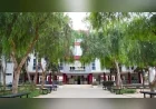 Doğu Akdeniz Üniversitesi Cambridge Sürdürülebilir Sınıf Yarışması’nda Dünya Birincisi Oldu