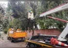 Efeler Belediyesi Yağışlı ve Fırtınalı Havalarda Olası Kazaları Önlemek İçin Parklarda Budama Çalışmalarını Sürdürüyor!