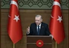 Cumhurbaşkanı Erdoğan: “Türkiye'nin kılına zarar gelmemesi için gecemizi gündüzümüze katıyoruz”