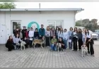 Bornova Belediye Başkanı Ömer Eşki: “83 Can Dostumuzun Yeni ve Güvenli Yuvalarına Kavuşması Hepimizi Çok Mutlu Etti”