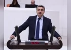 DEVA Partisi Genel Başkan Yardımcısı Mehmet Emin Ekmen: “SPK Başkanı’nı görevden almak yetmez”