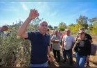 Buca Belediyesi’nin Sertifikalı Zeytin Budama Eğitimi Tamamlandı, Üreticilere Sertifikaları Verildi