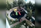 ETİMESGUT’TA 11 ÇINARIN KESİLMESİYLE BAŞLAYAN MAĞDURİYETTE GÖZLER BELEDİYE VE MÜTEAHHİT FİRMAYA ÇEVRİLDİ
