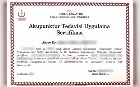 Akupunktur Tedavi Uygulama Sertifikası