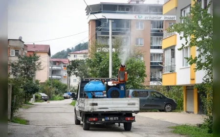 Giresun Belediyesi sonbaharda sivrisinek ve haşerelere karşı ilaçlama çalışmalarını sürdürüyor