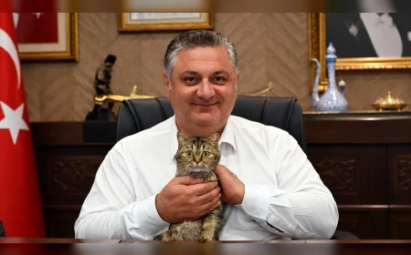 Yalova Belediye Başkanı Mehmet Gürel: “Hayvanların yaşam haklarına sahip çıkmak hepimizin ortak sorumluluğudur”