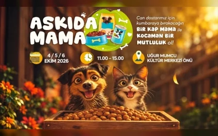Yalova’da patili dostlar için “Askıda Mama” dayanışması 4 Ekim’de başlıyor