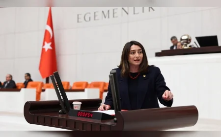 CHP Bartın Milletvekili Aysu Bankoğlu: “Mesele nafaka değil, kadının emeği ve varoluşudur”