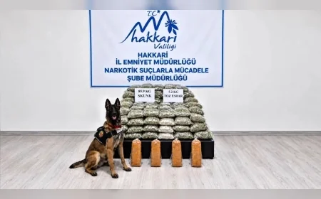 İçişleri Bakanlığı: “Yüksekova’da arı kovanlarına gizlenmiş 91,1 kilogram uyuşturucu ele geçirildi”