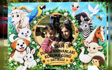 Ankara’da Dünya Hayvanları Koruma Günü buluşması: ABB 9 milyon veterinerlik hizmeti verisini açıkladı