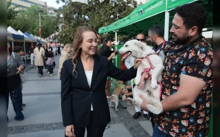 Konak Belediye Başkanı Nilüfer Çınarlı Mutlu: “Kimse parayla bu ticarete ortak olmasın, sahiplensin”