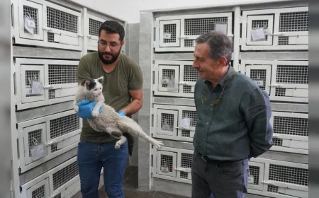 Tepebaşı Belediye Başkanı Dt. Ahmet Ataç: “Yaşam hakkı, tüm canlılar için vazgeçilmezdir”