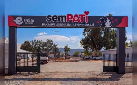 Efeler Belediye Başkanı Anıl Yetişkin’in sokak hayvanları projesinde açılış için geri sayım başladı